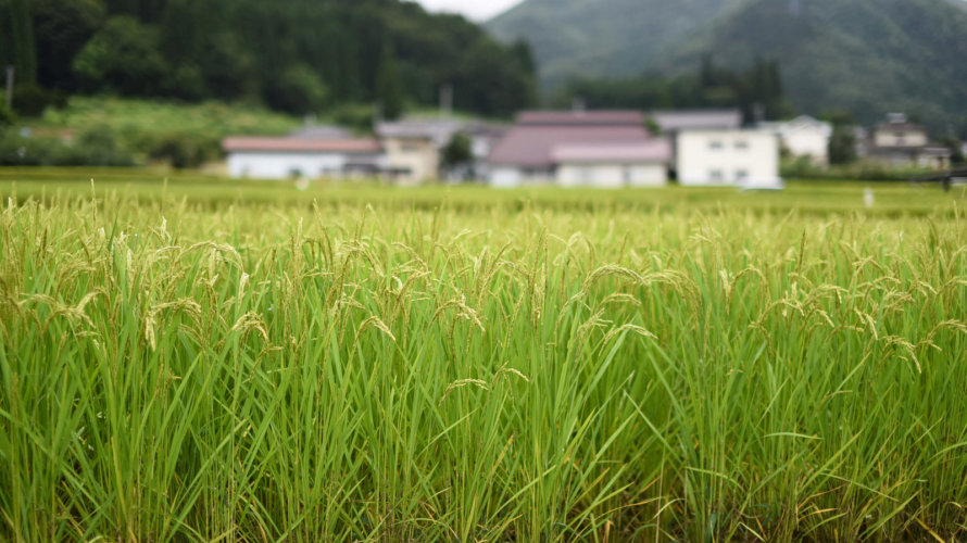 【宮崎県の復縁屋ベスト5】復縁工作事例を見ながらチェックしよう